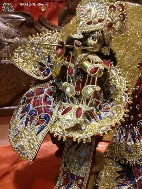 New and Latest Design of  in Jodhpur 